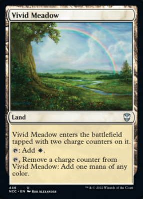 Vivid Meadow
